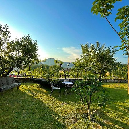 Country House Djurisic Virpazar Ngoại thất bức ảnh