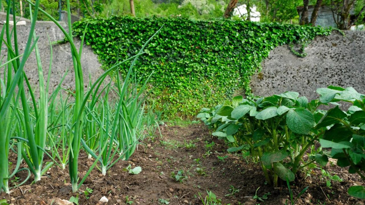Country House Djurisic Virpazar Ngoại thất bức ảnh