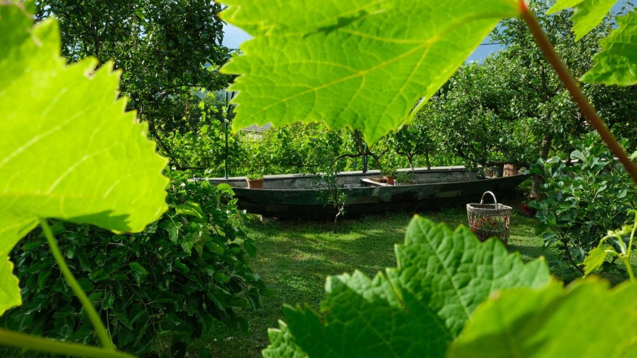 Country House Djurisic Virpazar Ngoại thất bức ảnh