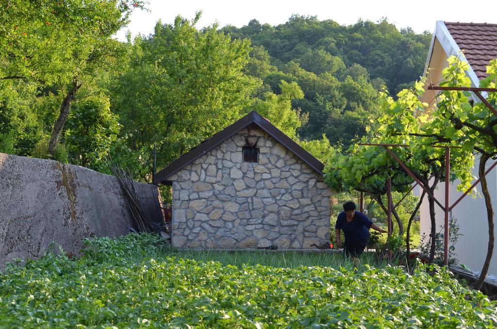 Country House Djurisic Virpazar Ngoại thất bức ảnh